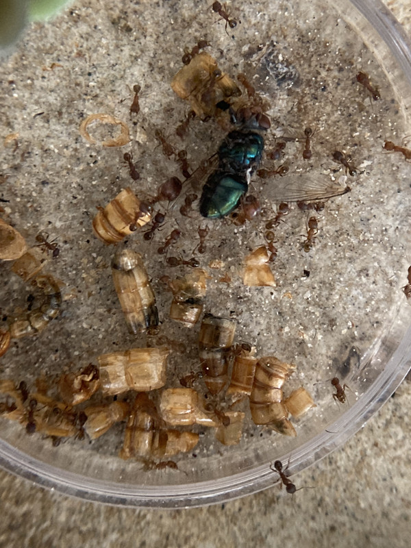 585E3B6B-DB67-4DFB-B85B-56516F11D126