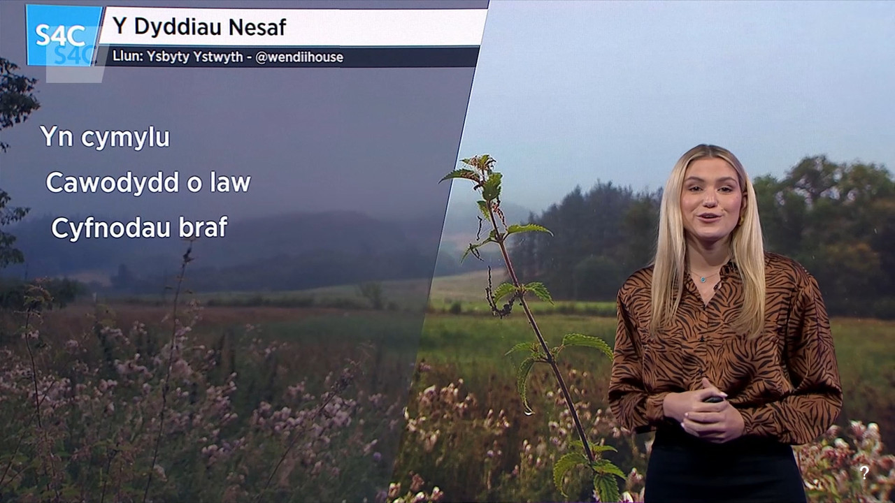 08.22 - 19.30.00 - Newyddion S4C. Newyddion S4C a'r Tywydd. S4C News ....ts_snapshot_33.00.639