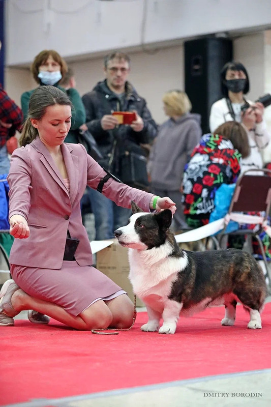 257ACFF2-03F1-463F-B796-DD9524991C2F