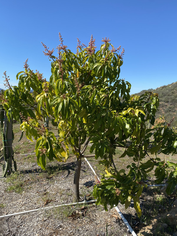 0DE1077F-7B21-406F-908C-F4B7928C71B2