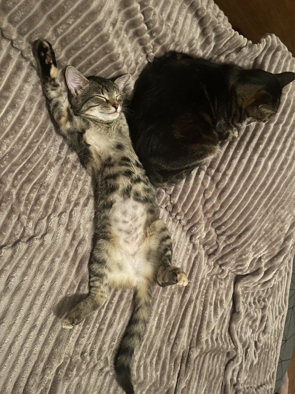 9C72BEB5-1B28-4C87-A653-A9454BE6D2C0