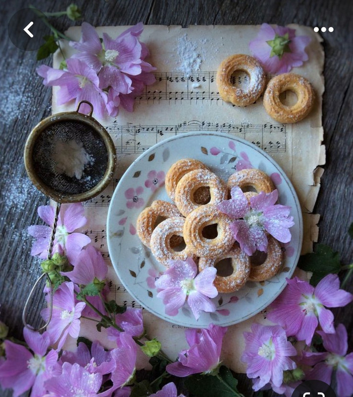 Screenshot_20240328_233101_Pinterest