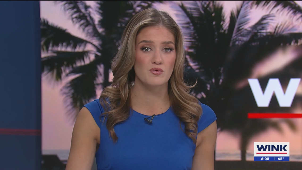 WINK NEWS at 600am Sunday_20250302_11001200.ts_snapshot_09.32.854