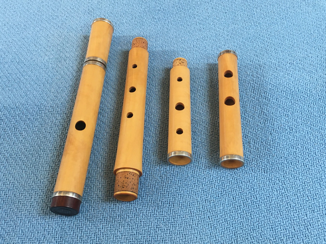 Boxwood Baubet 2