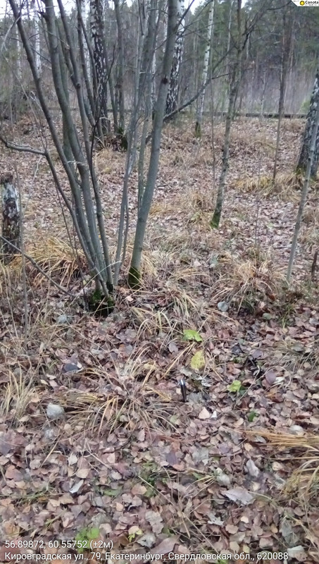 56 89872 60 55752 2m 24102025 173337