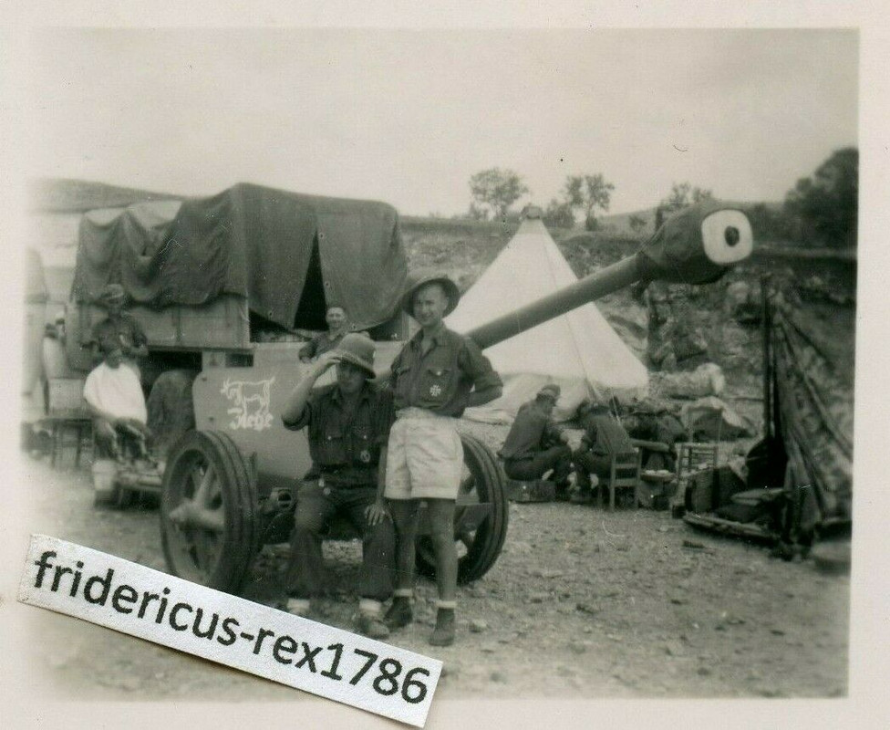 Foto WH Gebirgs Jäger Panzer Jäg. Abt. mit Pak Ziege Kennung SdKfz Pz