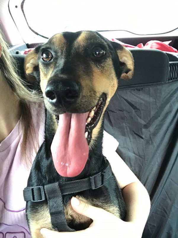 038EFADB-DEE0-43E9-8316-C1A192EB1C1A