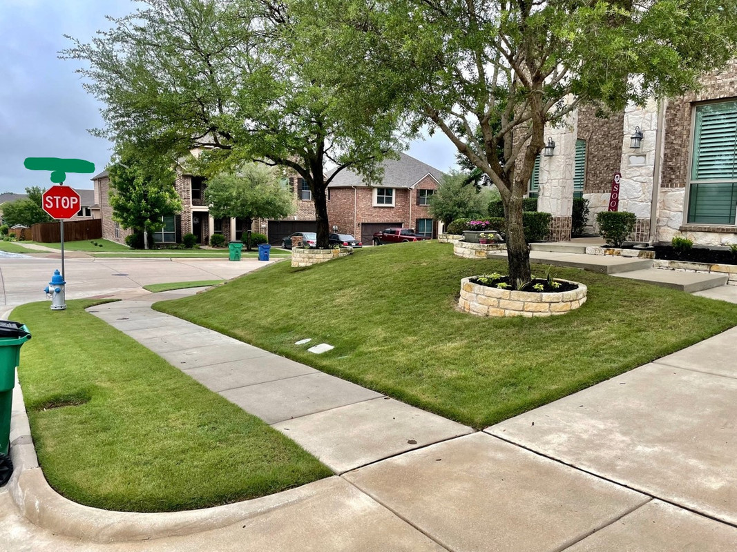 Inkedthumbnail_IMG_1447_LI