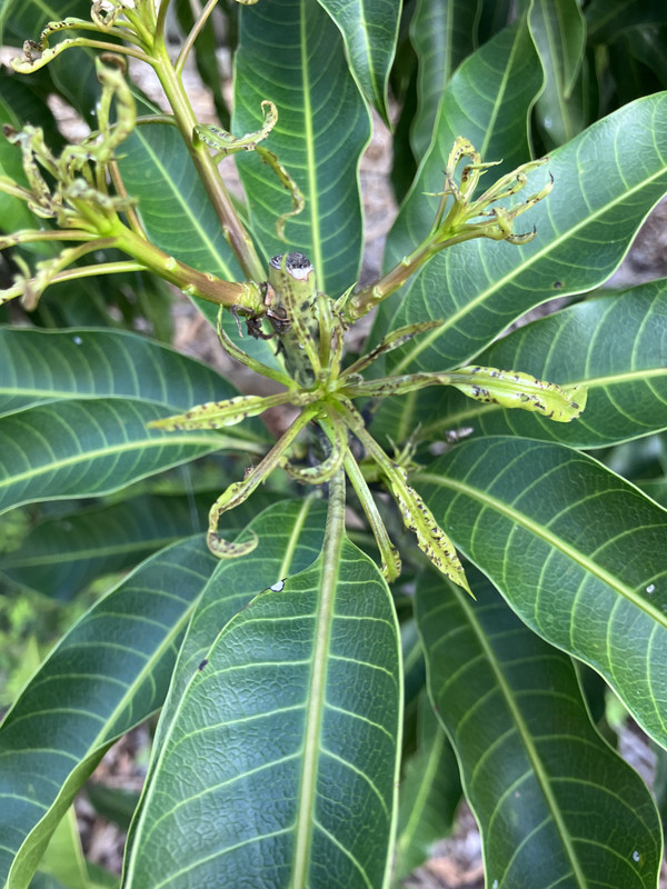 674B02FC-BA54-49E6-B4BD-79183D450415