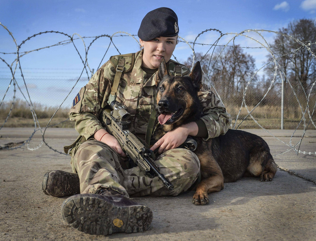 Brit 102nd Military Working Dog Section3