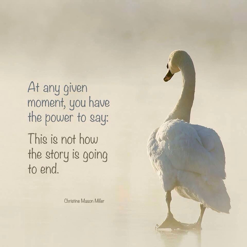 38d6a93c8ee0a034e80149f7311fda10