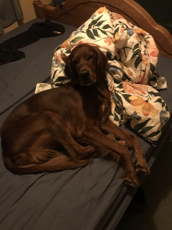 3C8DDF26-6D52-4CA0-8CBB-F337DBFAA64D