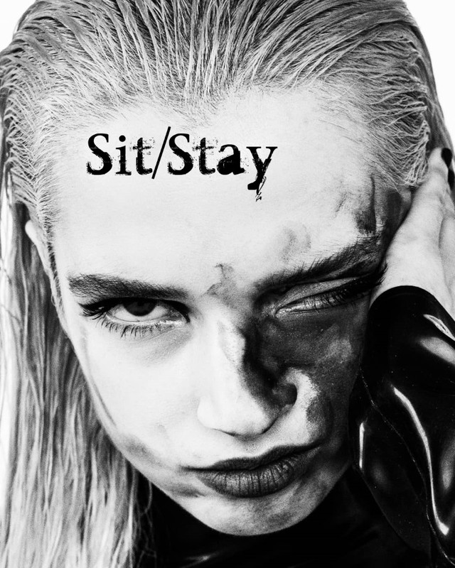 Sit-Stay.jpg