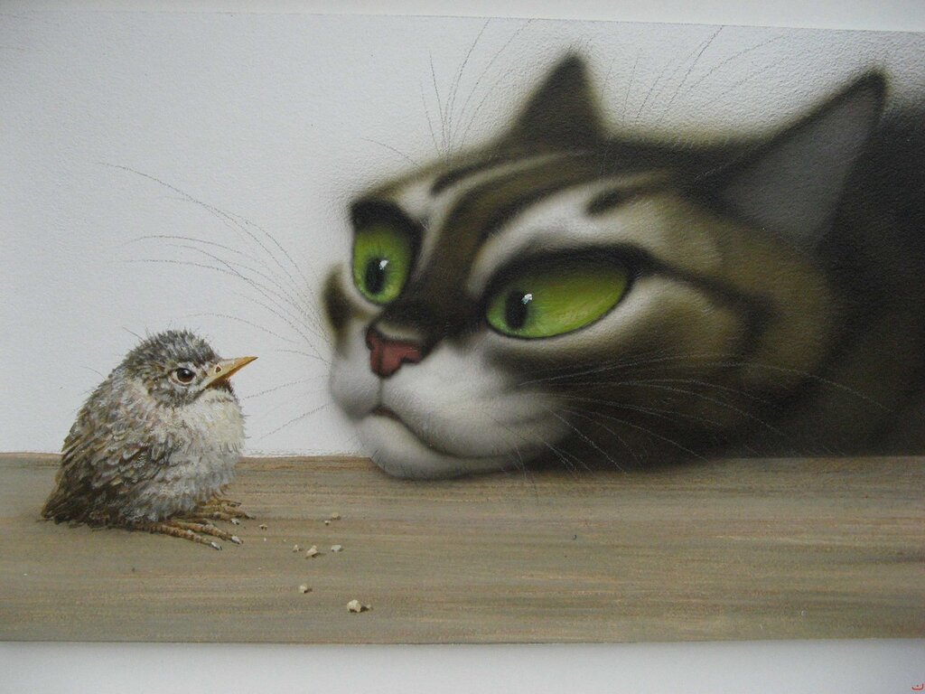 cats-21