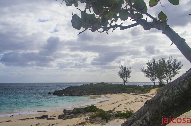 Minidiario de Bitácora IX. Trasatlántico a bordo del MSC Seascape - Blogs de Atlántico - Duodécimo al décimo cuarto día, del 2 al 4 de Diciembre.Bermudas (3)