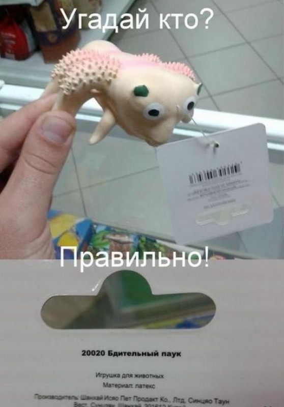 ef8c59c39f8dab571875d9797e72ead5