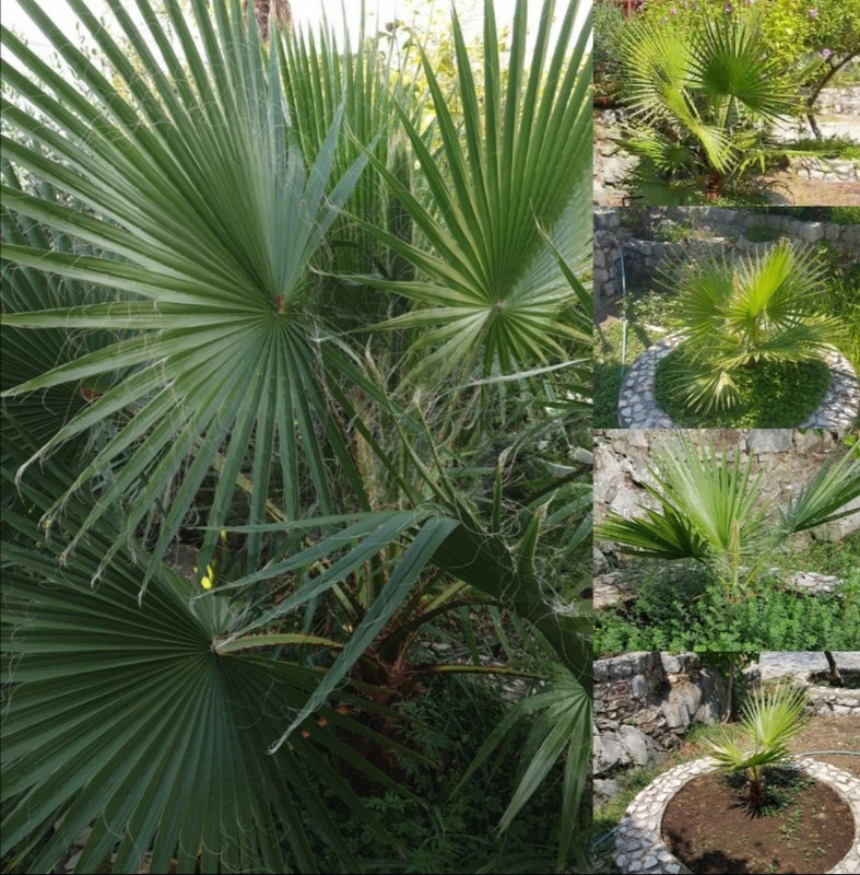 Screenshot_20210208_235743