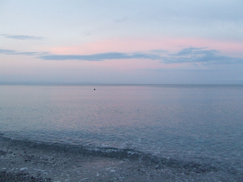 Slika