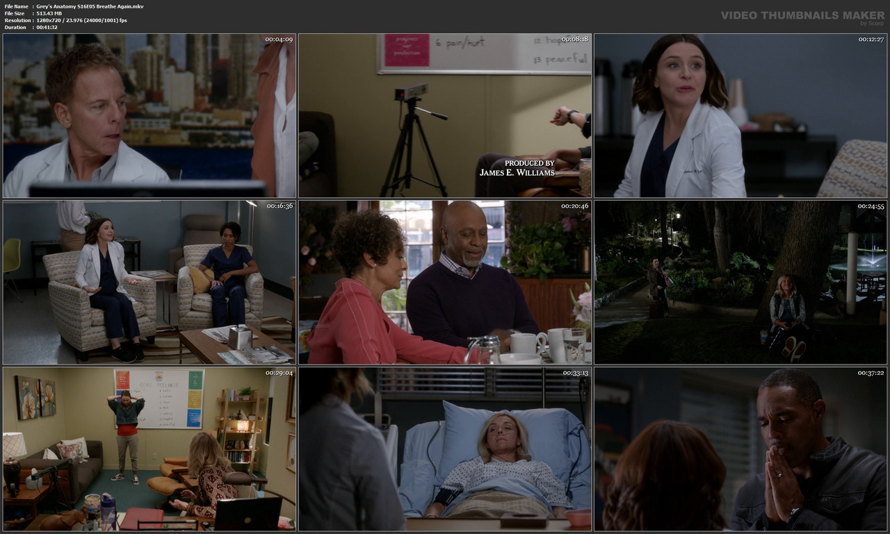 Grey's Anatomy S16E05 Breathe Again.mkv