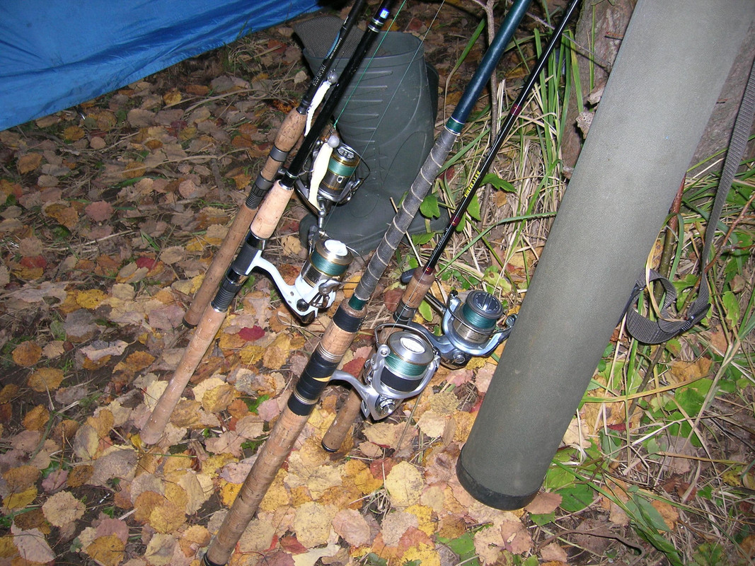 Выбор спиннинга для джига с лодки для нормальной