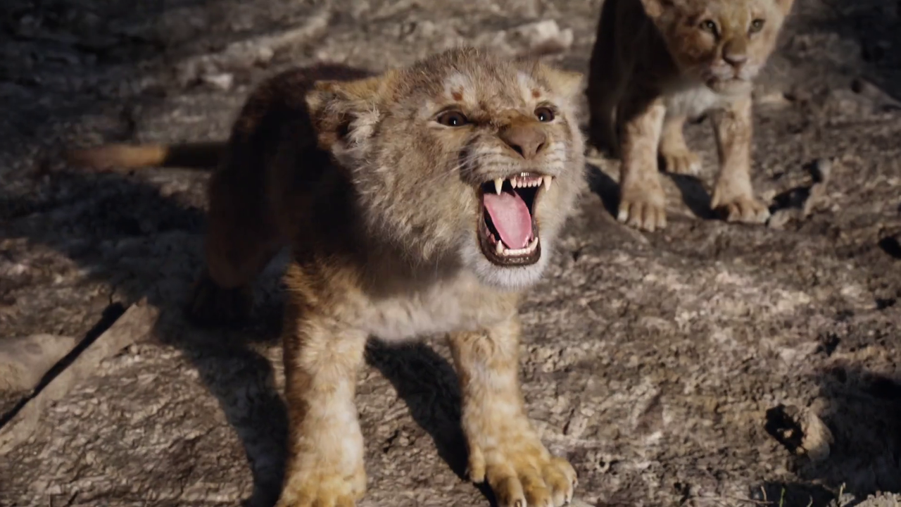 300mbunited.me--00017