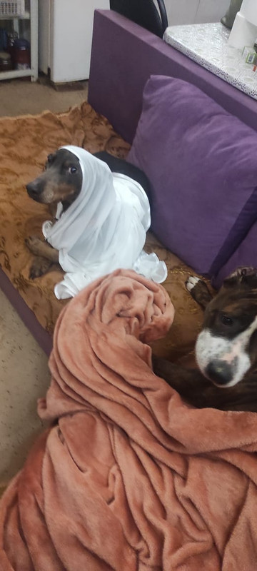 3CAD50D7-4043-48AD-B25E-3636A8F33BA1