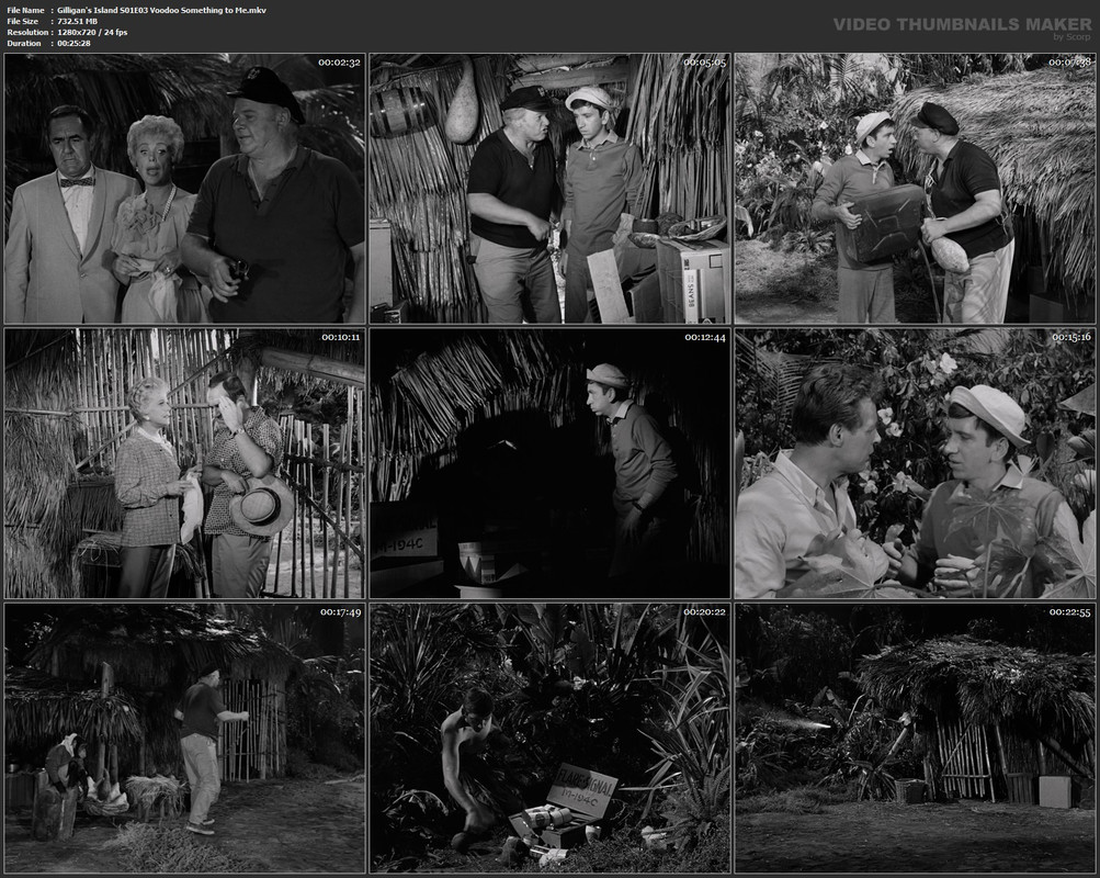 Gilligan's Island S01E03 Voodoo Something to Me.mkv