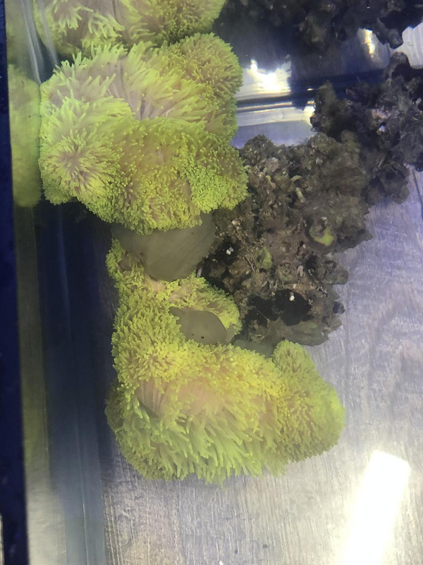 99DC5A81-6620-4CE1-854D-3860AF5643F0