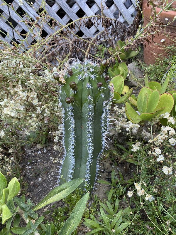 63CE7CFF-143D-4235-921F-3FD94C02407F