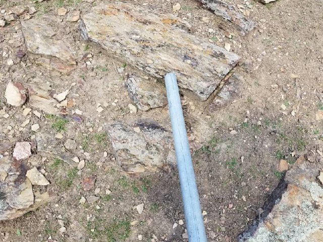 brace20200312_122212