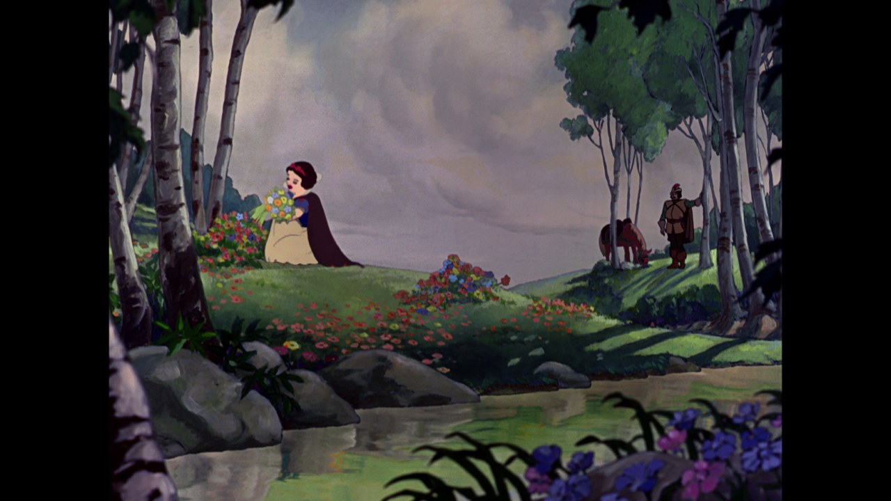 vlcsnap-2023-11-19-16h18m25s315