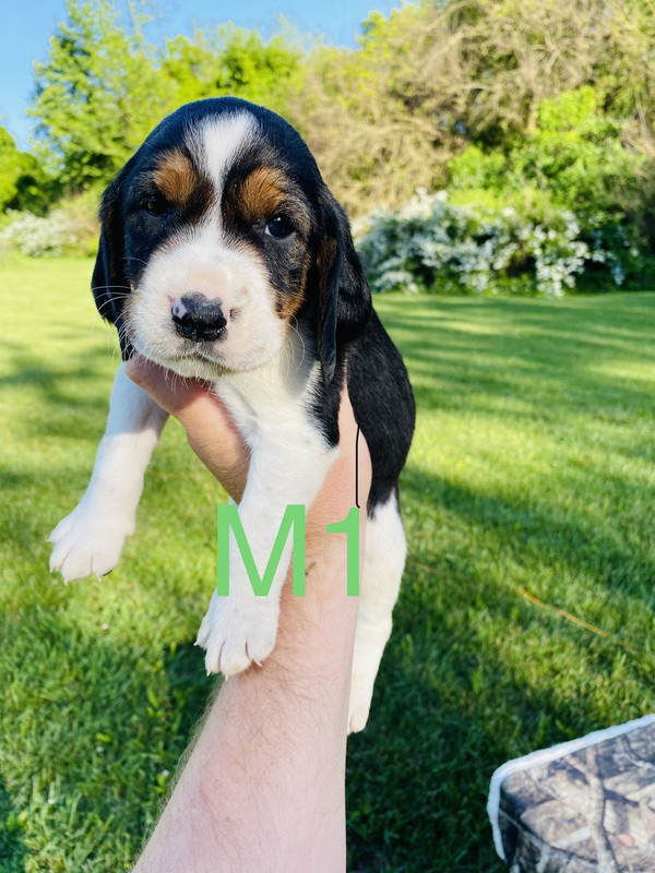 65AEE1C9-DFE8-4896-B37C-1586EC5DA5DC