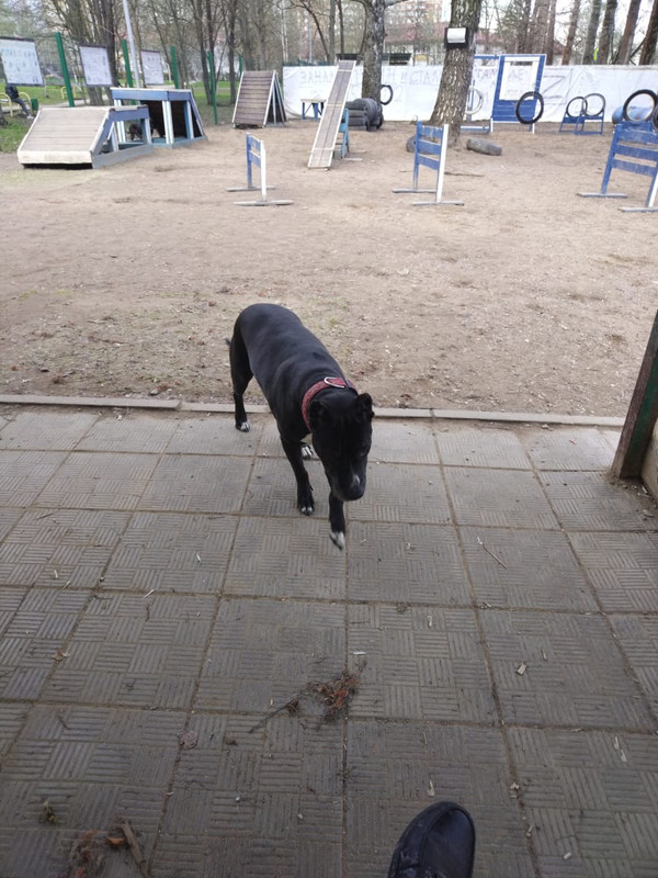 5FD3FF81-7F20-4099-AF3D-346B24E2F1FC