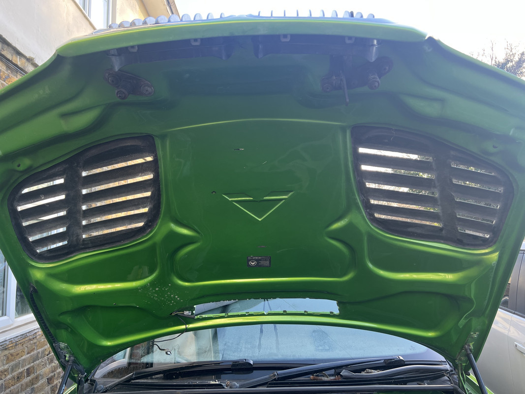 224CE159-9DB8-4D0F-A9AC-E511FB6843B9