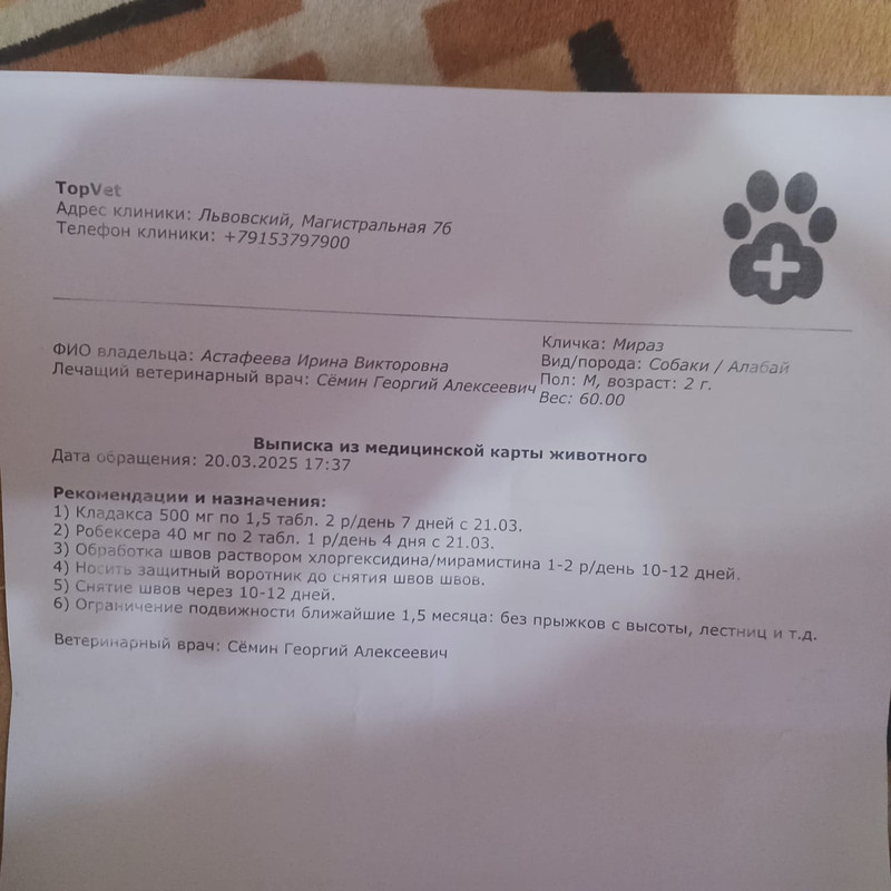 https://i.postimg.cc/7hd135Sk/IMG-20250320-WA0068.jpg