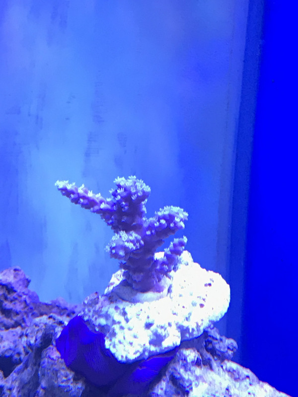 14731B24-AD56-4F77-89A5-F5CD6C7F0DAC