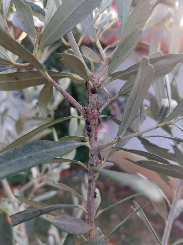 0-02-05-0efd8c070df9a691815e23100182b5c325247f6895de6e60d47b9ee081f7527f_36ba3888f3d5233a