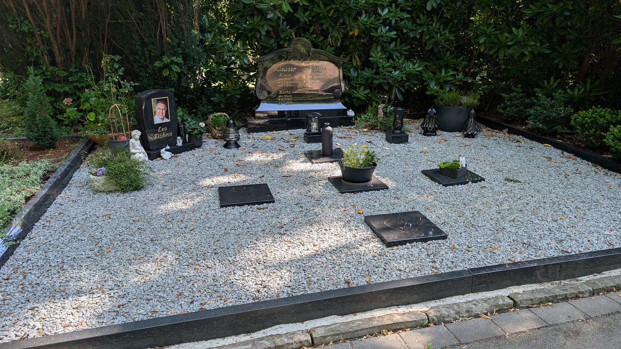PXL-20250811-115454606.jpg