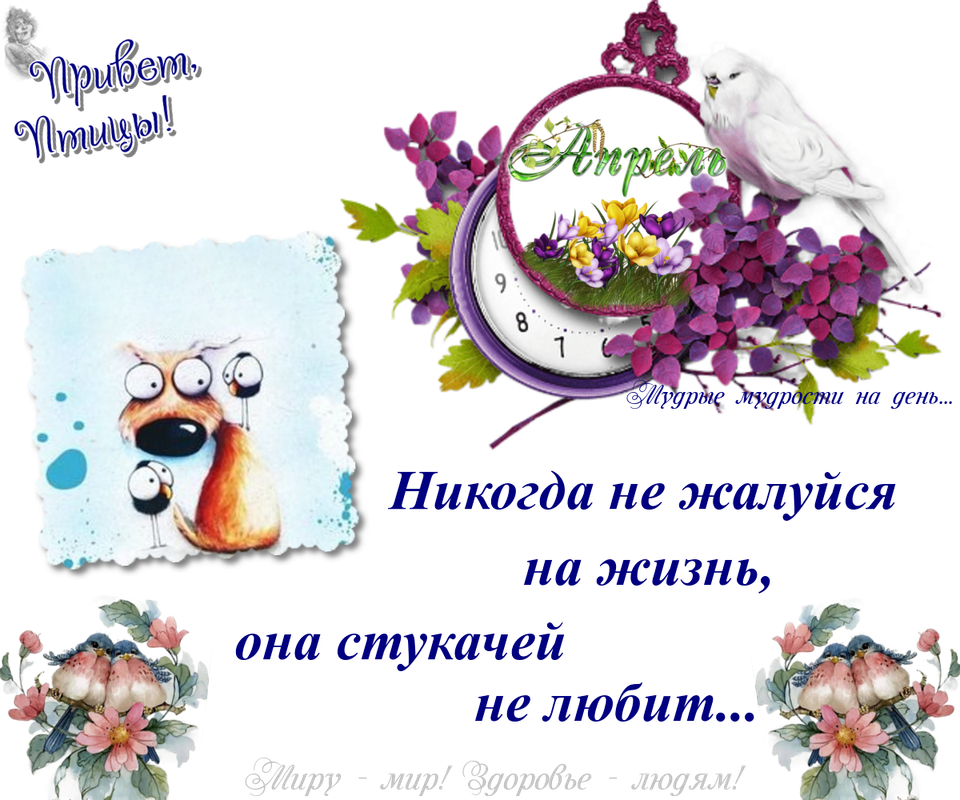 https://i.postimg.cc/7hdFSpMQ/03-04.png