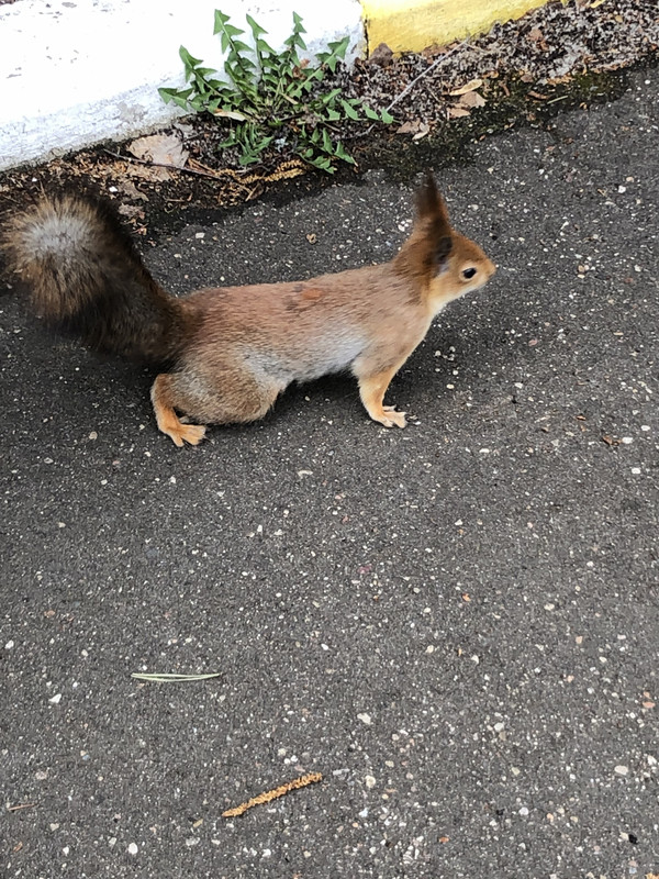 8D468070-1344-4939-8EB2-4D402207CB7A