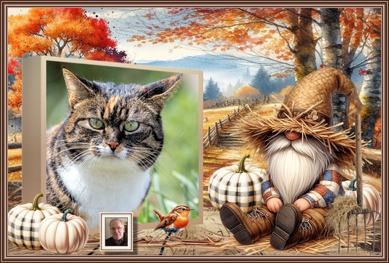 MOOIE-KATER-2