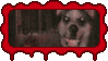 Smile Dog