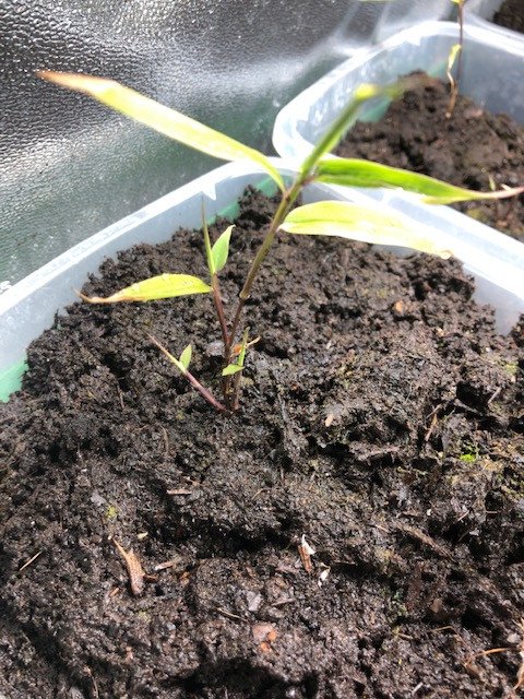 60158745867__A5058D17-9FEF-47DE-B4E0-657AEDC9B0CA