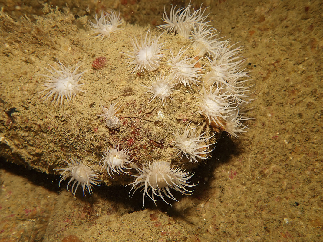 04004_13-13-3TH-8030054