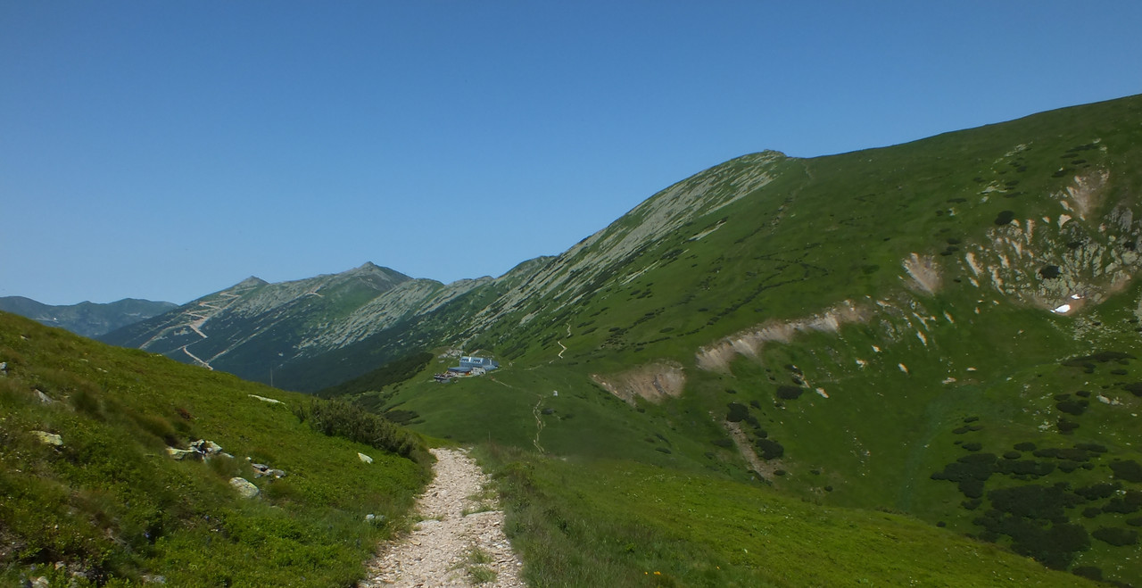 2019_0630DUMBIER0042