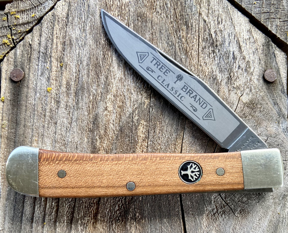 853E6389-277B-44AC-9B74-98501D56A549_1_201_a