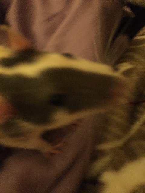 E233FCD5-81B8-4CEF-B326-4DAEE3E95730