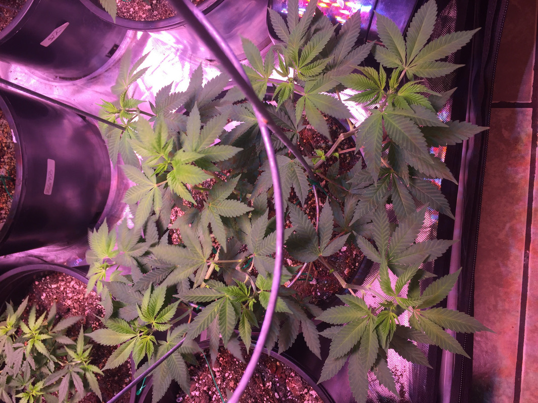 96234099-6083-44B4-B606-7A92D787CADC