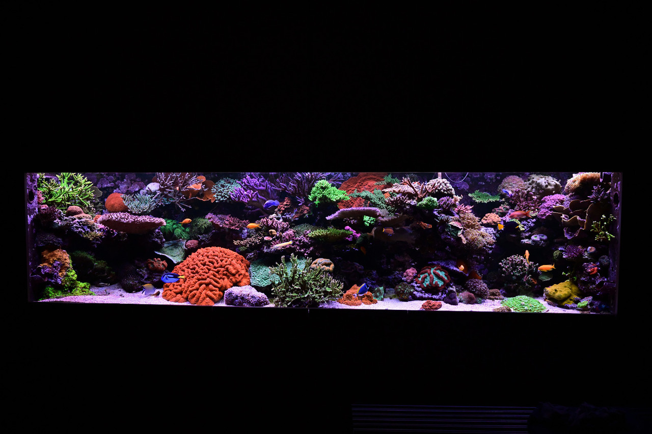 babfaf30-b49e-4cee-bf04-f70a7c169e4c.jpg
