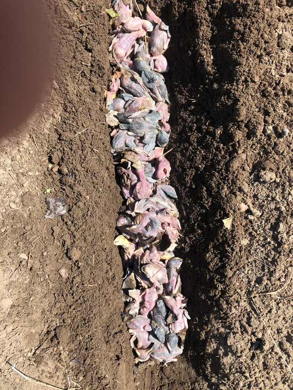 CCF39C56-82E7-4F99-8ED0-D7A598C81B3A